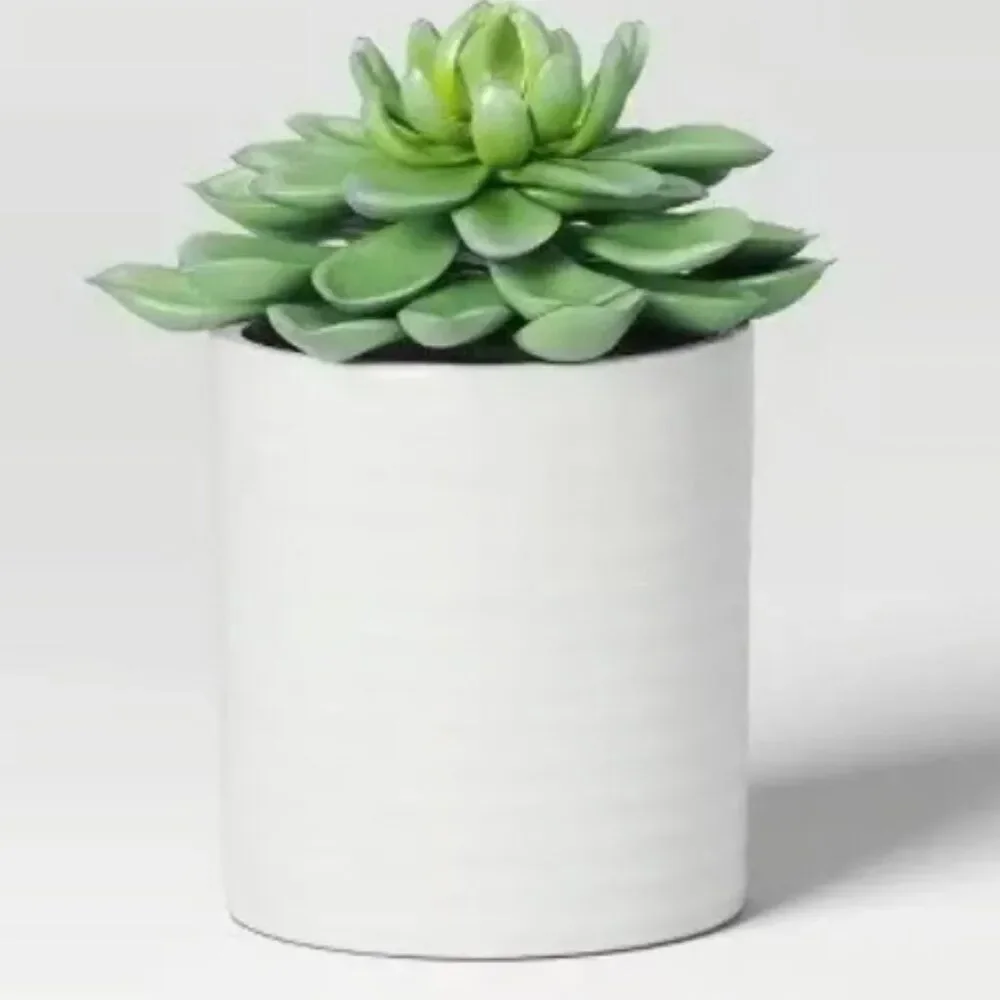 Faux Arrangements Succulent - NEW!!!